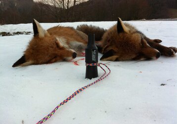Vadhívók rókára Nordik Predator - garantált siker