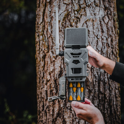Fotopasca spypoint flex-s 36 mpx + dvojbalenie za zvýhodnenú cenu + 4 sim karty zadarmo - fotopasca_spypoint_flex_s_36_mpx_dvojbalenie_za_zvyhodnenu_cenu_4_sim_karty_zadarmo_18