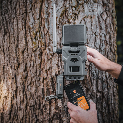 Fotopasca spypoint flex-s 36 mpx + dvojbalenie za zvýhodnenú cenu + 4 sim karty zadarmo - fotopasca_spypoint_flex_s_36_mpx_dvojbalenie_za_zvyhodnenu_cenu_4_sim_karty_zadarmo_19