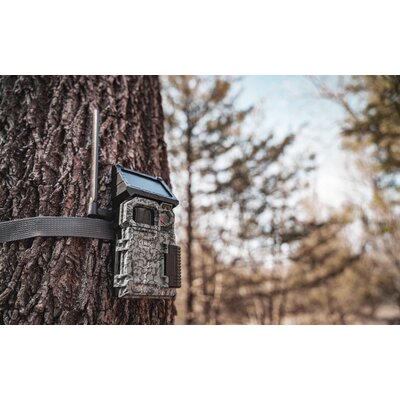 Fotopasca spypoint link-micro s lte + sim karta a batéria zadarmo - fotopasca_spypointlink-micro_s_LTE (2)