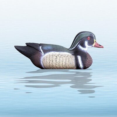 Balabán wood duck kačica drevená - kohút - balaban_kacica_drevena_