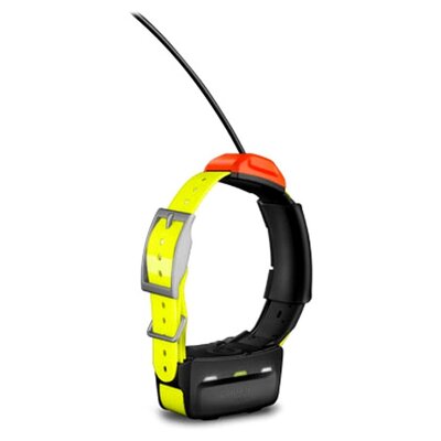 Gps obojok garmin t5x - gps_obojok_garmin_t5x_2
