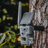 Fotopasca spypoint flex-s 36 mpx + dvojbalenie za zvýhodnenú cenu + 4 sim karty zadarmo - fotopasca_spypoint_flex_s_36_mpx_dvojbalenie_za_zvyhodnenu_cenu_4_sim_karty_zadarmo_13