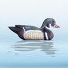 Balabán wood duck kačica drevená - kohút - balaban_kacica_drevena_